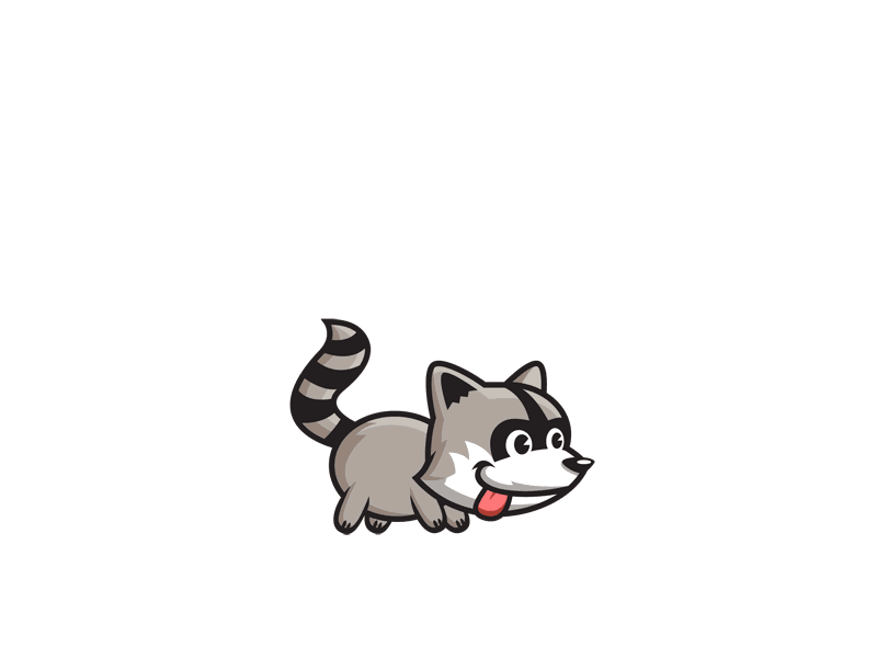 Mapache