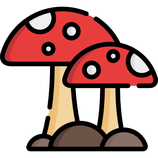 Mushroom