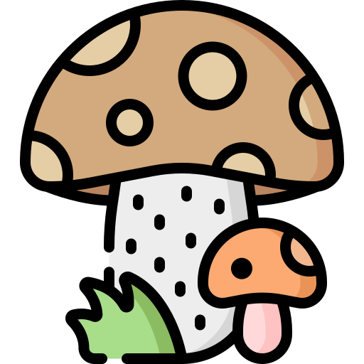 Mushroom